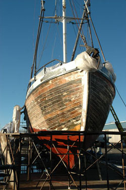 Halibut Schooner FV Olympic painting