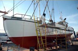 Halibut Schooner FV Olympic