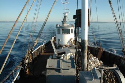 Halibut Schooner FV Olympic