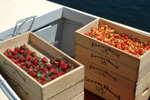 FarmBoat Berries